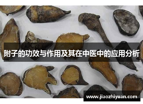 附子的功效与作用及其在中医中的应用分析