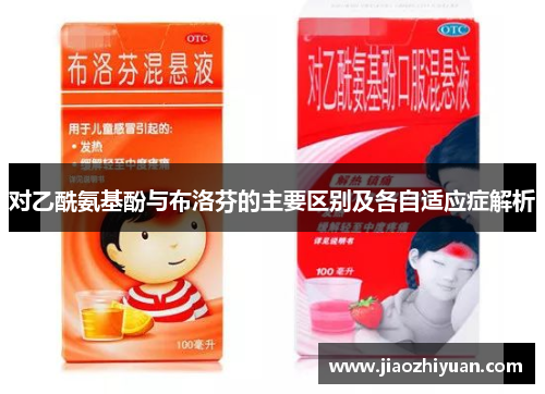 对乙酰氨基酚与布洛芬的主要区别及各自适应症解析