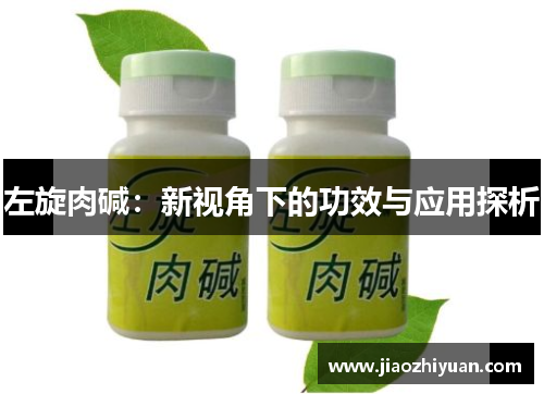 左旋肉碱：新视角下的功效与应用探析