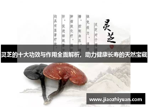 灵芝的十大功效与作用全面解析，助力健康长寿的天然宝藏